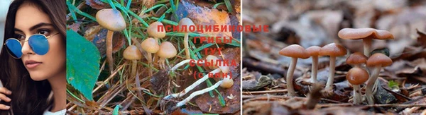 экстази Балабаново
