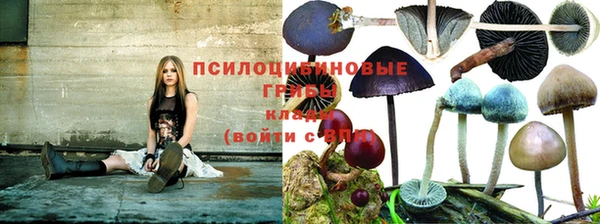 дмт Белоозёрский