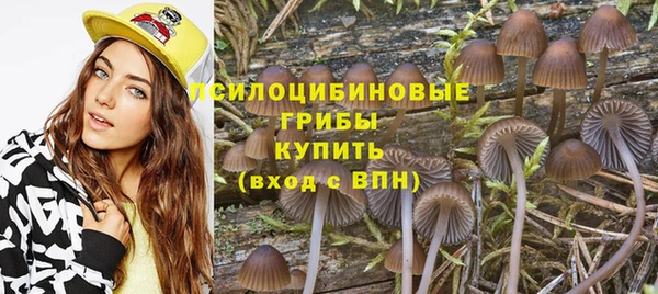 дмт Белоозёрский
